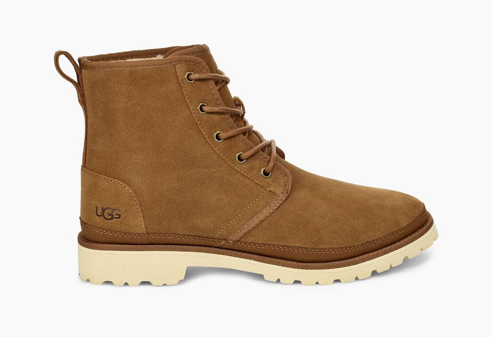 Ugg Chukka Boots Canada - Ugg Men's Harkland Brown